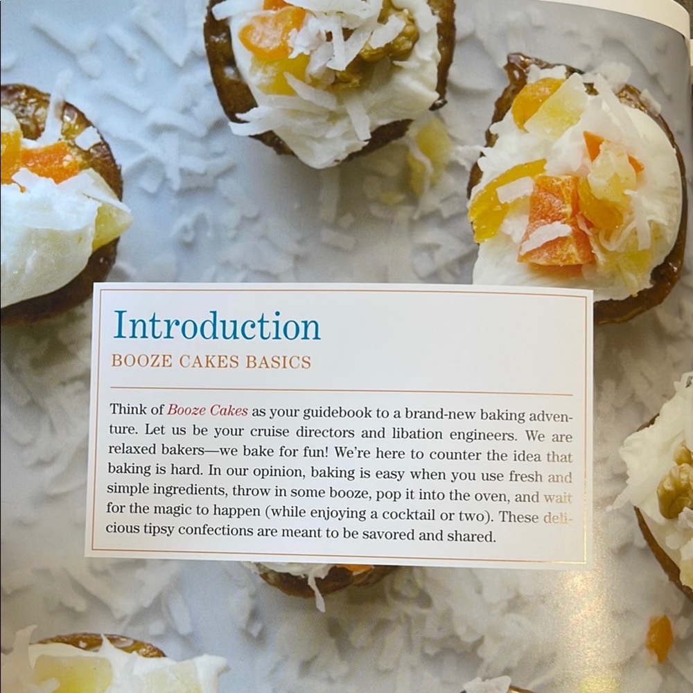 Booze Cakes Recipe Book - Picture 4 of 4
